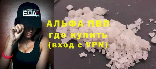стаф Арсеньев