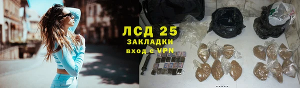 стаф Арсеньев