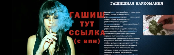 стаф Арсеньев