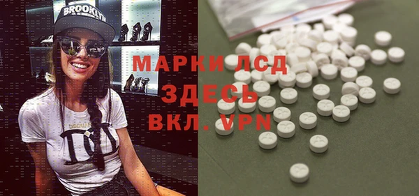 PSILOCYBIN Армянск