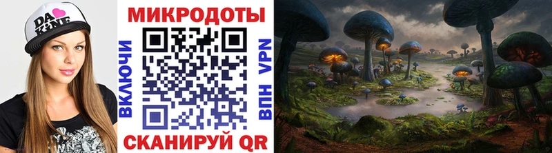 Купить  Новоуральск  Псилоцибиновые грибы Psilocybe 